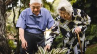 ¡Larga vida! Japón rompe récord histórico: casi 100.000 personas superan el siglo de vida