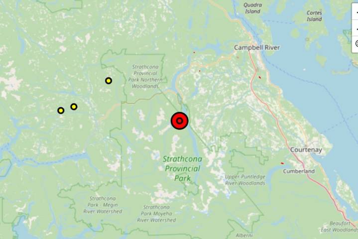 Wildfire burning 'out of control' in Strathcona Provincial Park