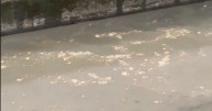 Raw sewage seen in River Aire as Leeds visitors complain about 'overwhelming smell'