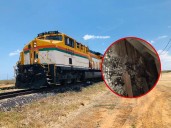 Dos nuevos atentados contra la vía férrea del Cerrejón en La Guajira