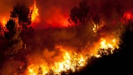 Los peores incendios en la historia de España: Joaquín Ramírez, experto en fuegos, advierte: ''Lo que viene va a ser mucho peor