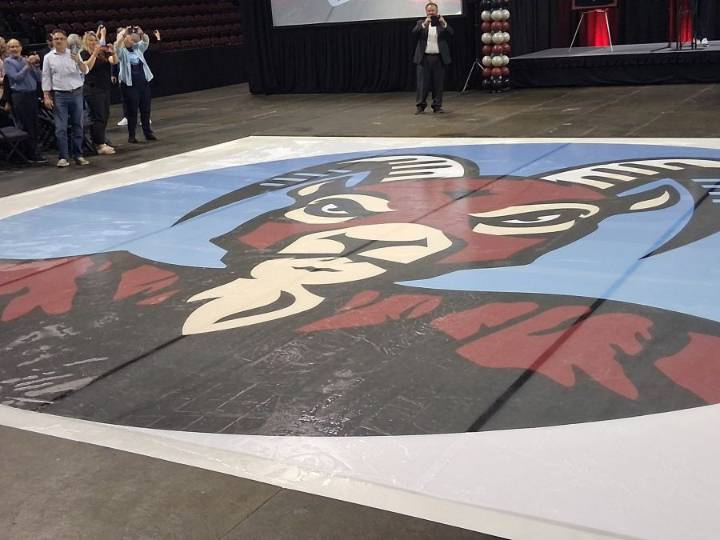 New Mexico's new pro hockey unveils team name