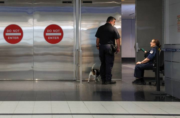 Woman caught at O'Hare with $6.2M in cocaine sentenced