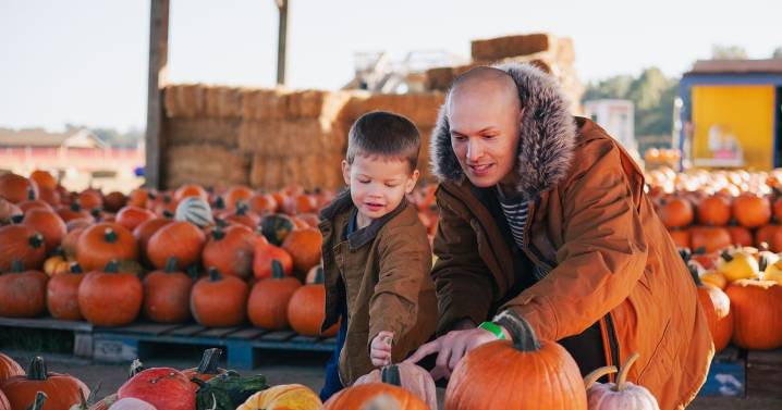 10 farms in Scotland you can pick your own pumpkins this Halloween season