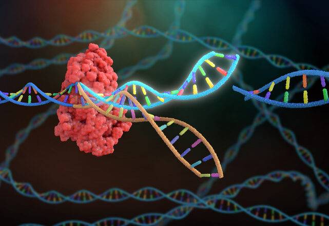 More Effective CAR T Cells Created Using New CRISPR Screening Method