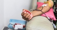 Caffeine Bad News For Blood Donations, Study Says