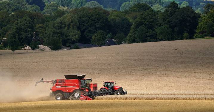 Gloucestershire farmer feels 'abandoned' as Government pay outs due to expire