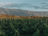 Los 8 pueblos de Argentina que podrían ser los mejores del mundo en 2025