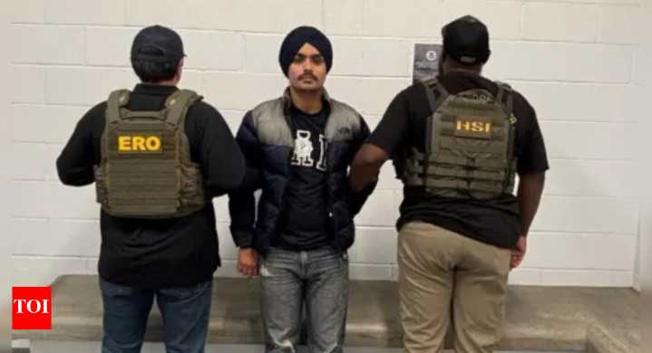 'Dangerous alien': US arrests another 'illegal' Indian for multi-vehicle crash; blasts California governor for issuing license