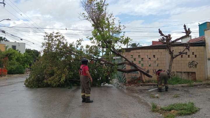 Protección Civil y Bomberos de Cancún atienden reportes tras las lluvias