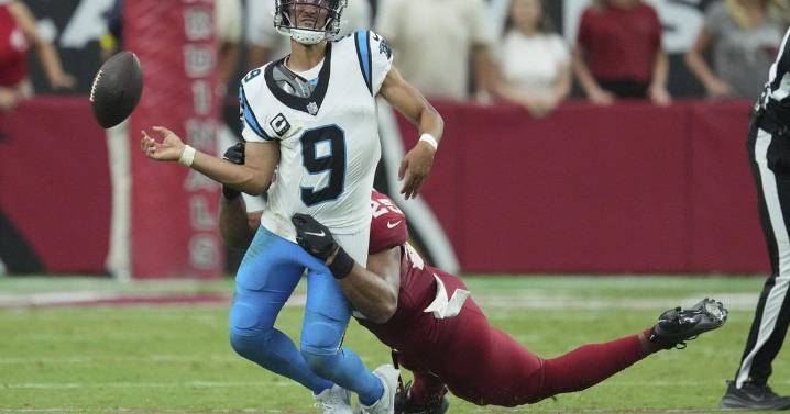 QB Young showed fight Panthers want to see despite failing to complete comeback against Cards