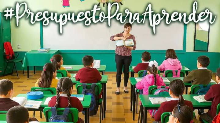 PEF 2026 no prioriza aprendizaje de niñas, niños y jóvenes: Mexicanos Primero