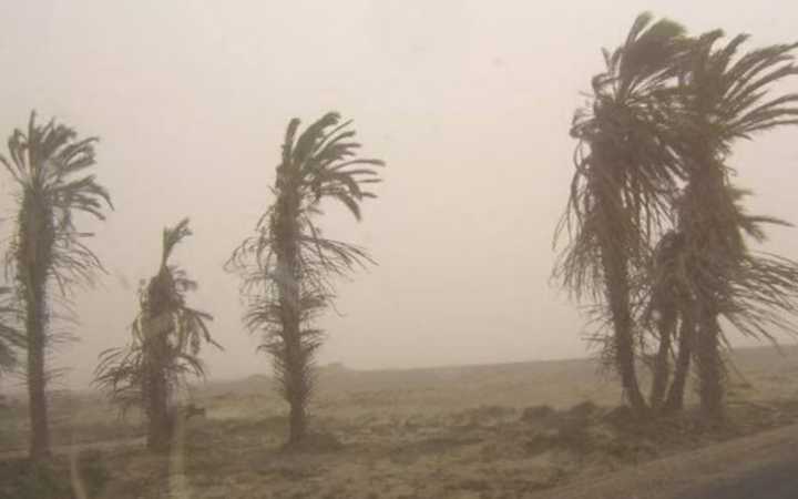 ¡Atención! Senamhi advierte fuertes vientos en el norte del Perú desde este martes 9 de septiembre
