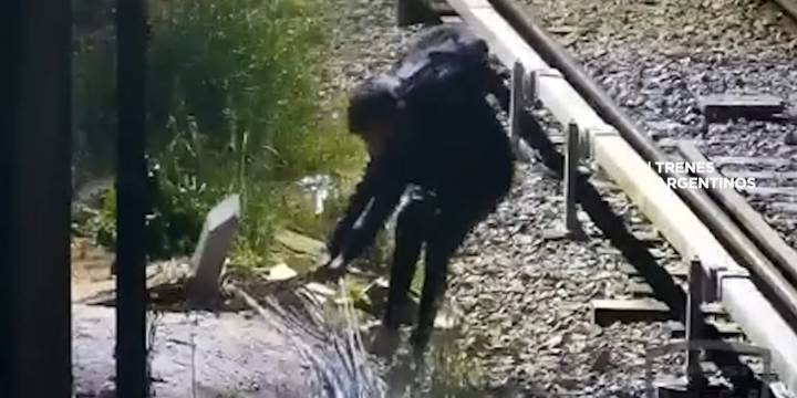 Video: intentó robar cables del tren Mitre, casi muere electrocutado y terminó detenido