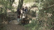 Adjudican la plantación de 2.000 árboles en Cuenca Minera y Sierra para un corredor verde
