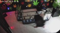 Pasadena dispensary burglar cuts through walls to steals safe