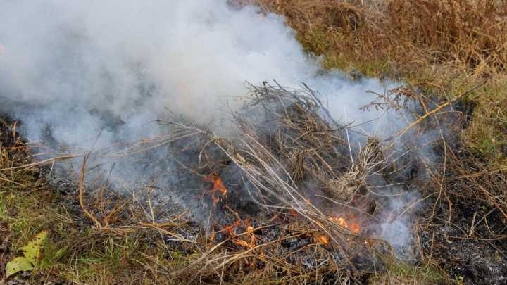 Burn ban back in effect in Todd County