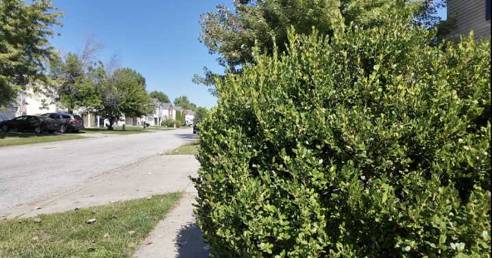 Franklin Township students report a man for inappropriately touching himself at a school bus stop