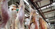 Las retenciones cero para la carne continuarán hasta el 31 de octubre