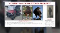 2 hawks in back of UTV stolen from SoFi Stadium, Inglewood police say