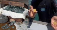 Treasure Coast salvage crew recovers over $1 million in gold and silver coins from 1715 shipwreck