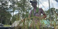 MSU Coastal Research & Extension Center continues mission of restoration across waterways