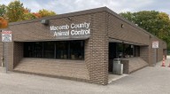 Hackel: New animal shelter should be in more visible location