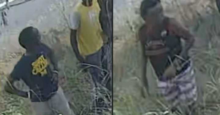 Spokane police seek arson suspects accused of damaging trees