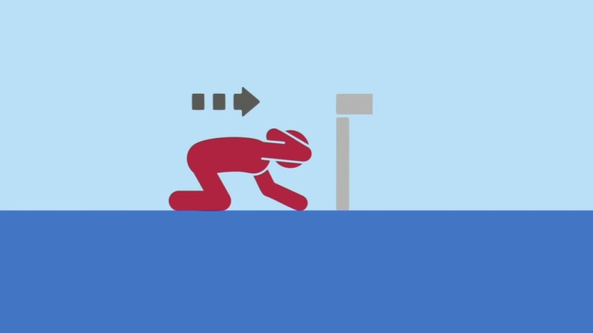 Qué hacer ante un sismo – Telemundo Area de la Bahía 48