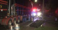 Sydney: Semi-trailer spills load of beer across Sydney road