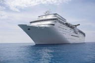 Cruise Ship Worker Reveals 'Secret' Codes Used to Prevent Passenger 'Panic'