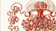 El clásico de ciencia ficción que nos enfrenta a nuestros miedos más profundos (y nunca pasará de moda)