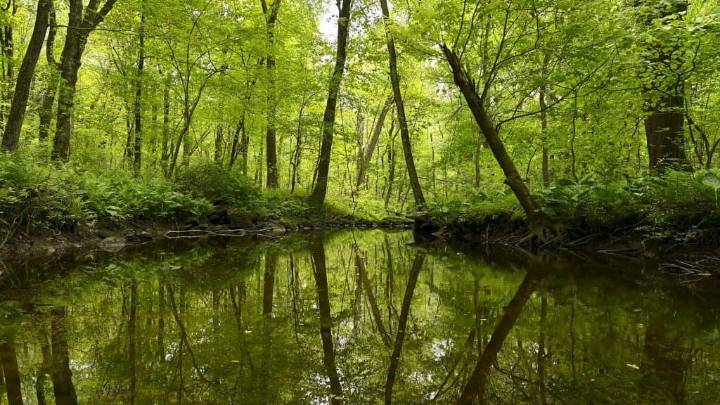 Open Space: Why Must We Protect It?
