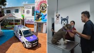 Hospital Veterinario CDMX: Así es Nueva Clínica con Ambulancia y Atención 24 Horas para Mascotas