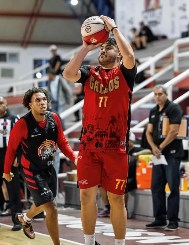 Gallos caen en Durango