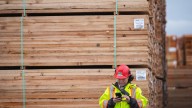 B.C. First Nations and logging firm want Walbran Valley old