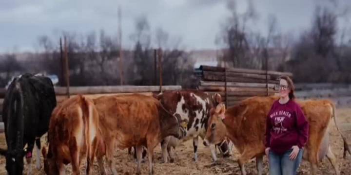 First-generation micro dairy in Montana: bridging the gap between farm and table