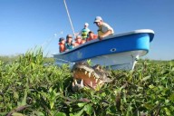 CUÁNDO! Fin de semana largo de 4 días para promover el turismo