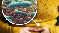 Qué es Helicobacter pylori, la bacteria "silenciosa" que afecta al 50 por ciento de los argentinos