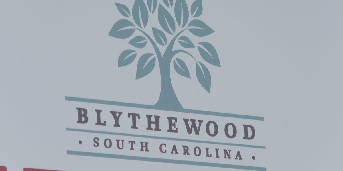 Blythewood mayor to call for investigation into allegations of ‘criminal or financial violations’
