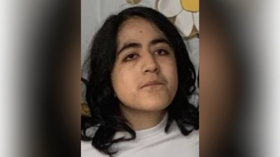 Skeletal remains remains of missing California woman, 21, found in riverbed