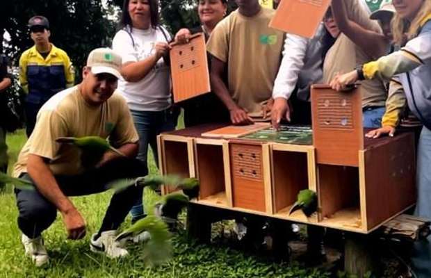 Liberan especies silvestres en el Waraira Repano