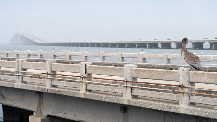 Man found dead in SUV on South Skyway Fishing Pier