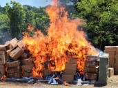 FGR incinera mariguana, cigarros y objetos asegurados en Campeche