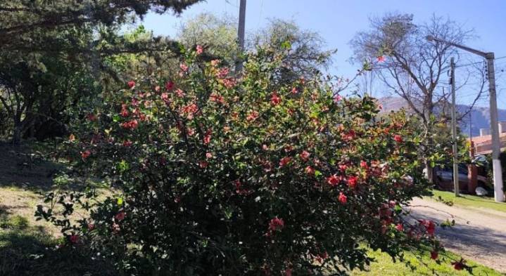 La primera semana de la primavera arranca con mañanas frescas y ascenso de las térmicas
