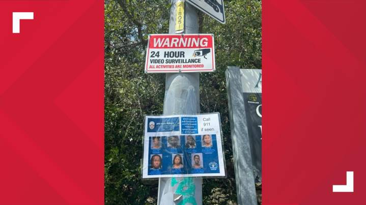 Austin police looking for repeat offenders in park burglaries