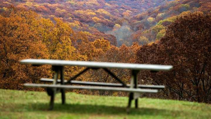 Fall leaves could peak early in 2025. When to see fall colors in Indiana