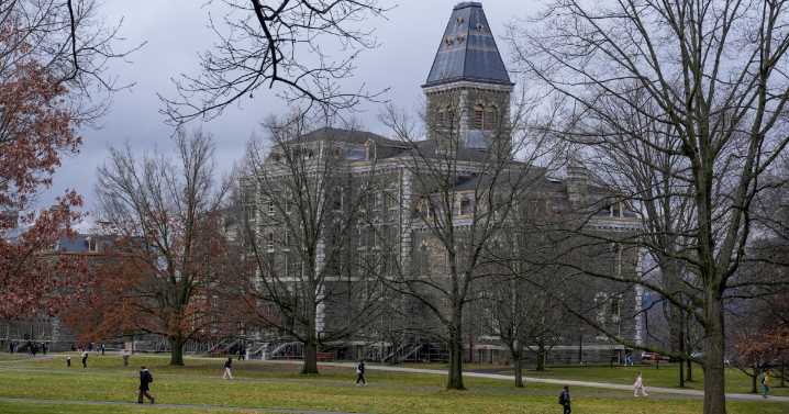 Two Cornell University students killed bear and skinned it back at their dorm