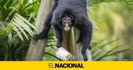 La Vuelta a España en Madrid, la Independencia de México y más: la vuelta al mundo en 15 fotos