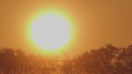 Arizona weather forecast: Weekend stays sunny and dry in Phoenix